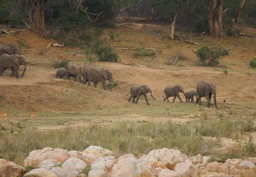 Kruger River Self-catering