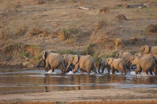 Kruger River Self-catering