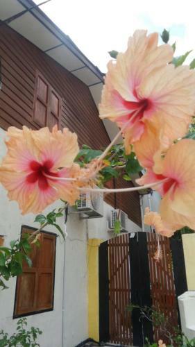 Experience Island Heritage Home