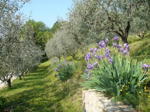 Bed & Breakfast Olivella