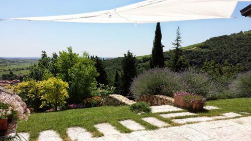 Bed & Breakfast Olivella