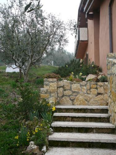 Bed & Breakfast Olivella