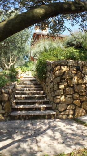 Bed & Breakfast Olivella
