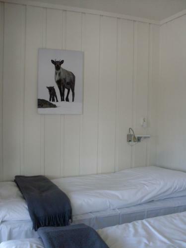 Albergue Rauland Vandrerhjem Akademiet