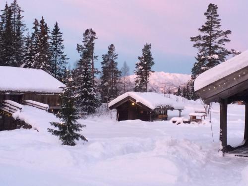 Albergue Rauland Vandrerhjem Akademiet