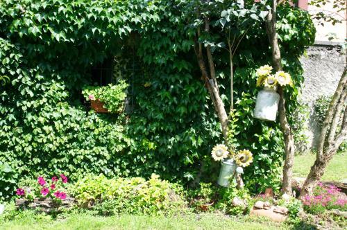 B&B La Betulla