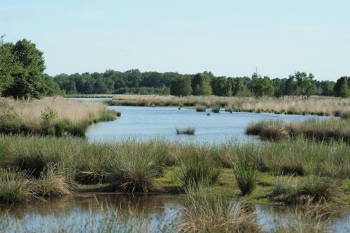 Hampshire Hotel Zuid-drenthe
