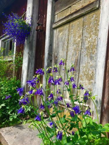 Hostal Johanssons G�rdshotell I Roslagen