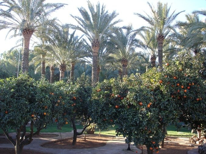 Villa Resort Oasis