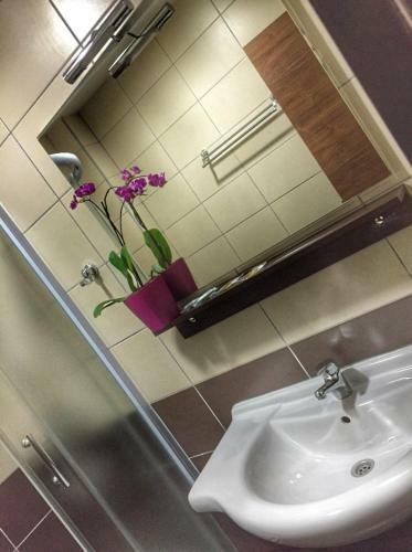 Hotel Oaza