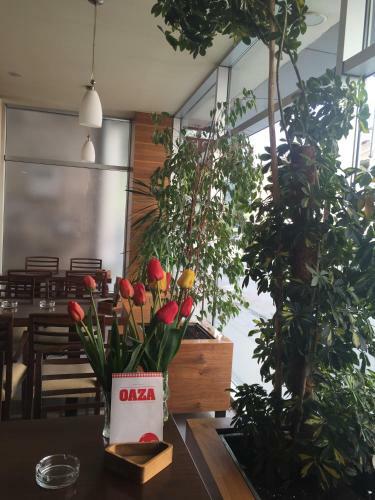 Hotel Oaza