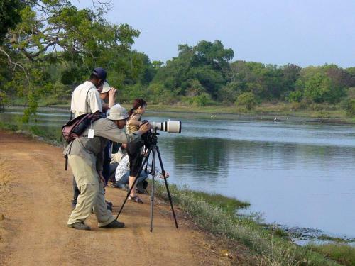 Hotel Mahoora Tented Safari Camp - Bundala