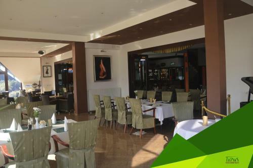 Hotel Trawa