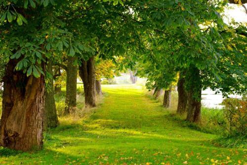 Bed & Breakfast B�rstorp Slott