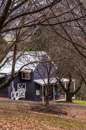 Villa Abbys Cottages Bright