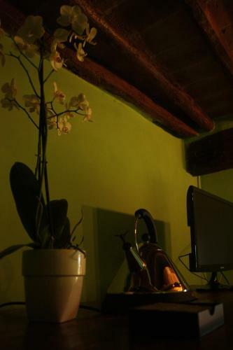 B&b44