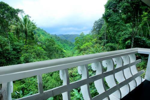 Spring And Valley View