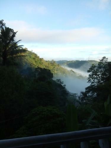 Spring And Valley View