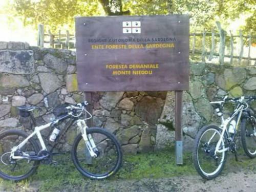 B&B Il Vigneto