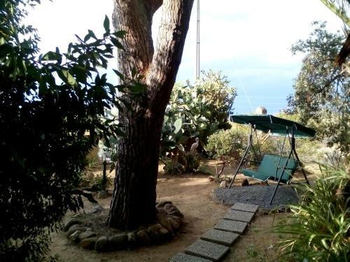 B&B Il Vigneto
