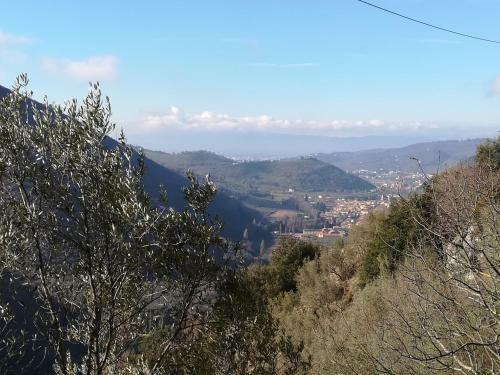 Apartamento B&B Il Sentiero Nel Bosco