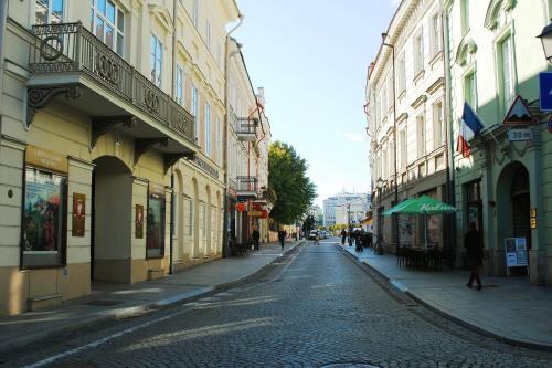 Vilnius Center Apartment - Elizabeth