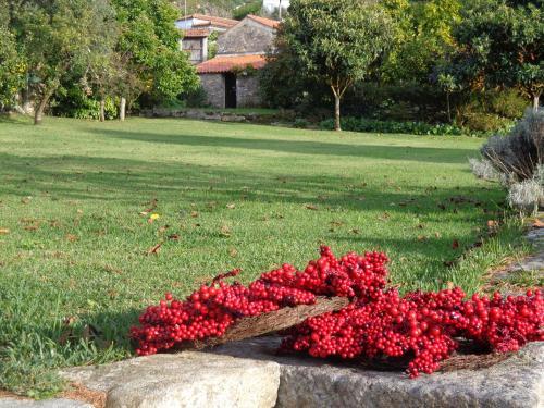 Agroturismo Casa Da Eira De Moledo