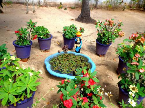 Bed & Breakfast Achayans Homestay Mararikulam