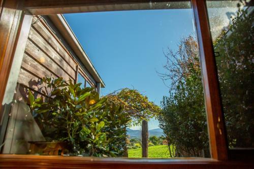 Hostal Pear Tree Cottage Bed And Breakfast