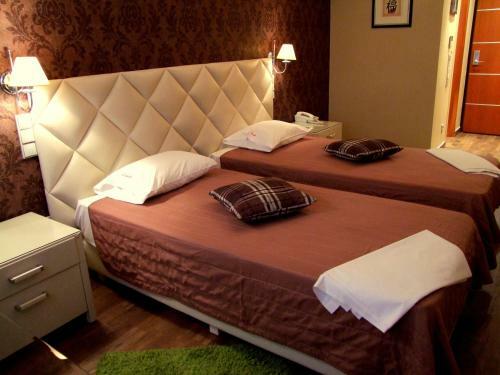Carol Hotel