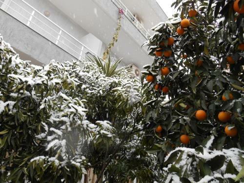 Bed & Breakfast Ahmeti