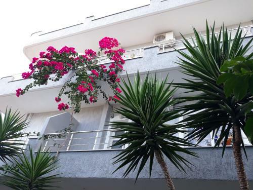 Bed & Breakfast Ahmeti