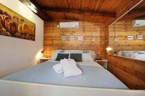 Lodge Barzilay Mansion