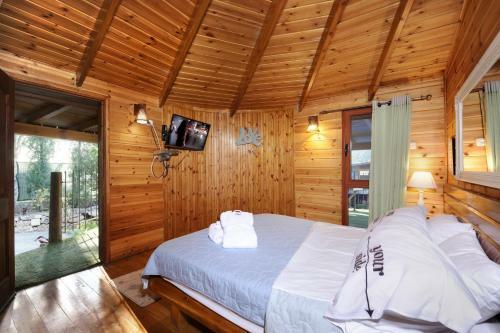 Lodge Barzilay Mansion
