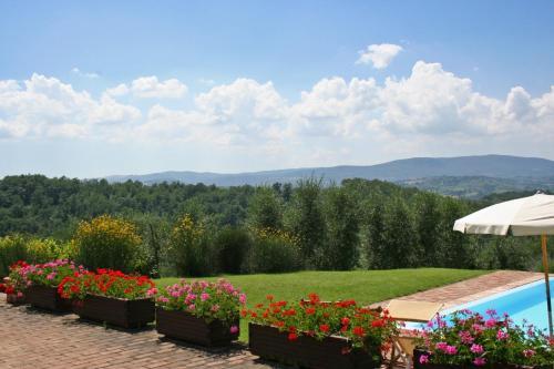 Agroturismo Podere Il Pino