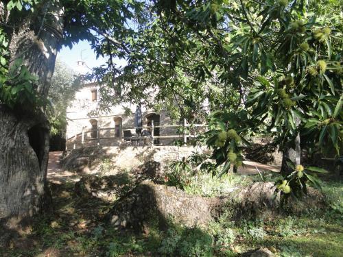 Agroturismo Finca La Color�