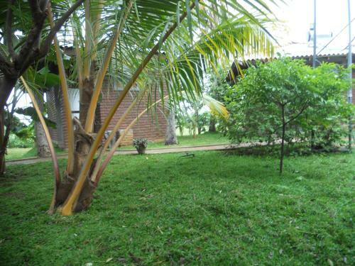 Lodge Rice Villa
