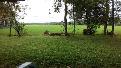 Bed & Breakfast Gk`s Riverview Homestay