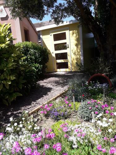 Les Cypr�s Florentins