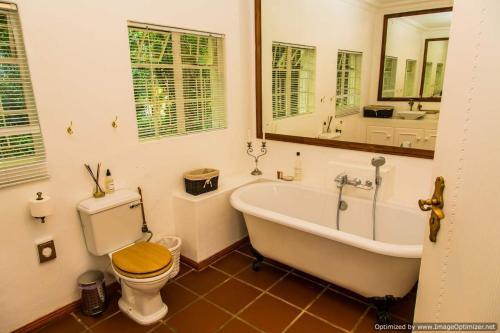 Hostal African Vineyard Guesthouse