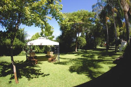 Hostal African Vineyard Guesthouse
