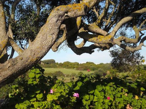 Bed & Breakfast Sa Ruscitta