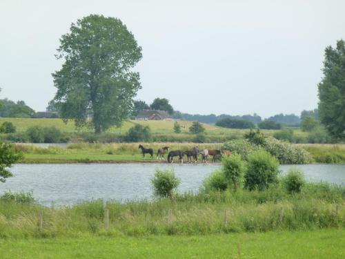Alphen Gld - Holidayhome