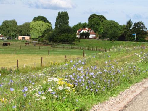 Alphen Gld - Holidayhome