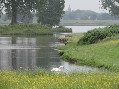 Alphen Gld - Holidayhome