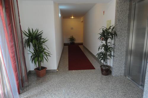 Hostal Senhor Dos Perdoes Alojamento Local