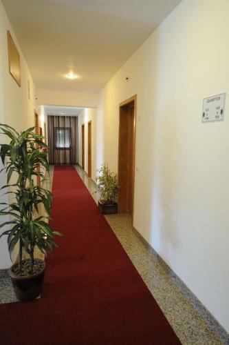 Hostal Senhor Dos Perdoes Alojamento Local