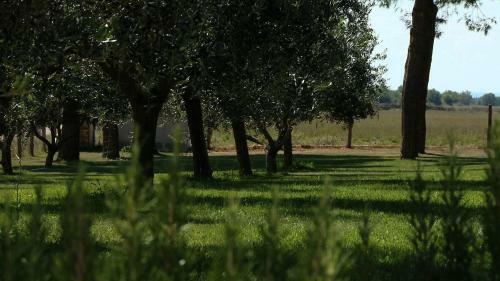 Agroturismo Agriturismo Piani Della Marina
