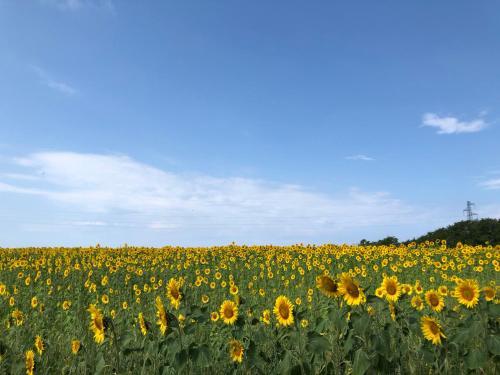Agroturismo Agriturismo Piani Della Marina