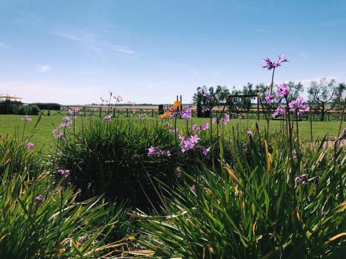 Agroturismo Agriturismo Piani Della Marina